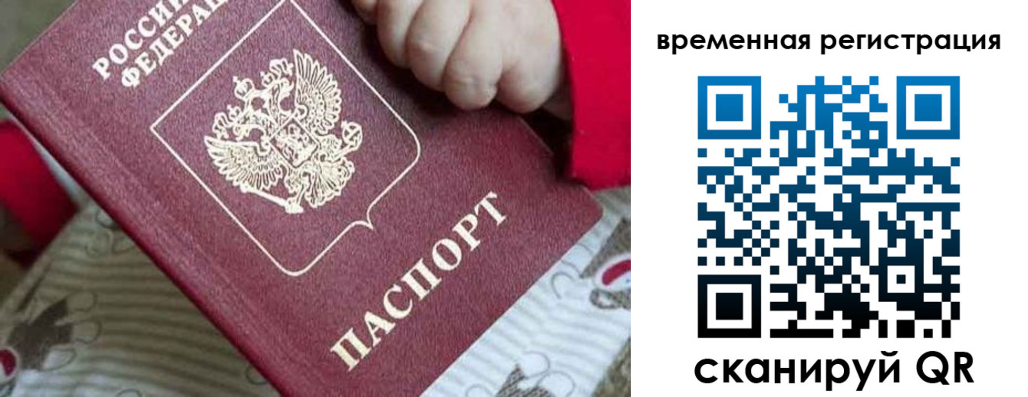 где прописаться в Шарье